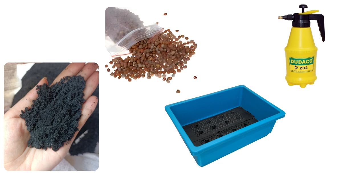 Các nguyên liệu để trồng rau mầm bằng tro trấu