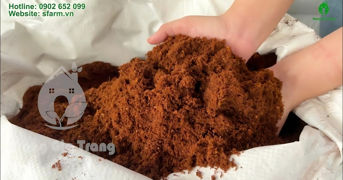 Trộn tro trấu với mụn dừa cho đất tơi xốp