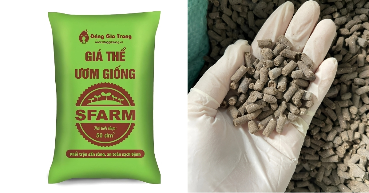 Kết hợp giá thể ươm giống và phân hữu cơ viên nén cho cây