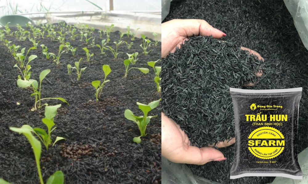 Ủ trấu hoai mục từ trấu hun SFARM