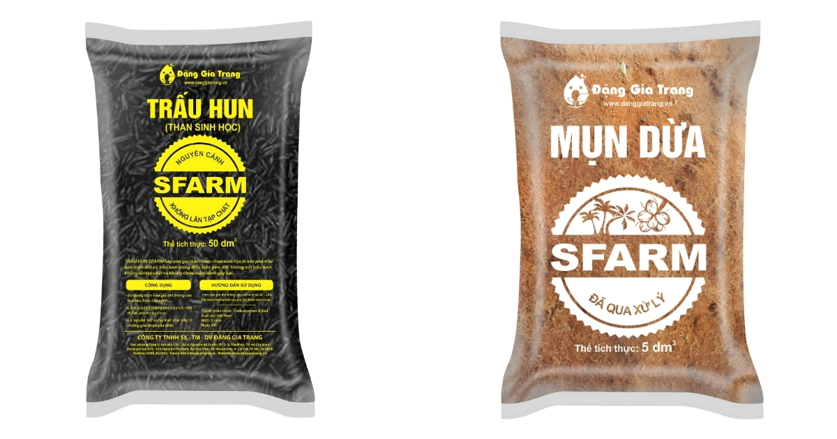 Sử dụng trấu hun và mụn dừa để trồng cây chuối mini