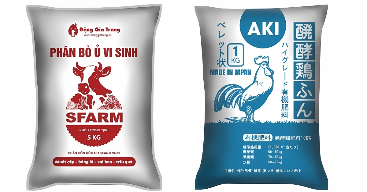 Bón phân bò, phân gà cho cây chuối mini