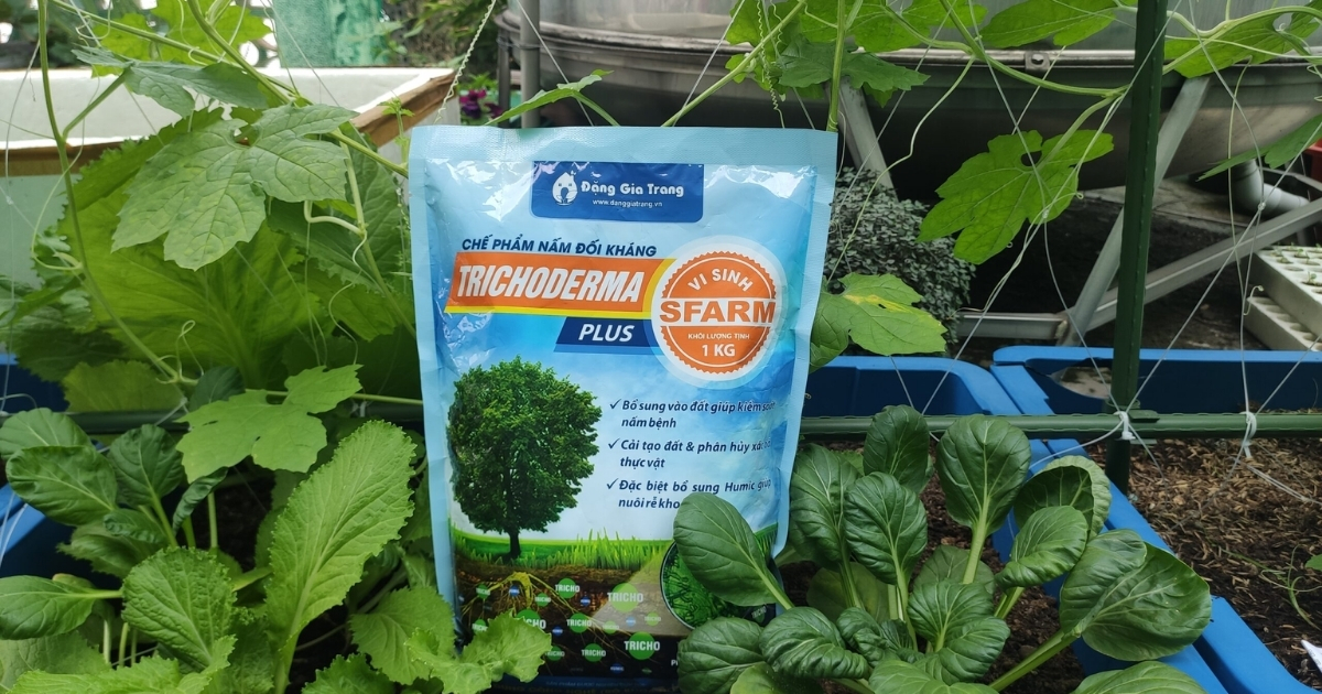 Nấm đối kháng Trichoderma Humic SFARM