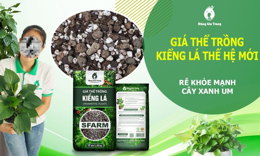 Giá thể trồng kiểng lá SFARM