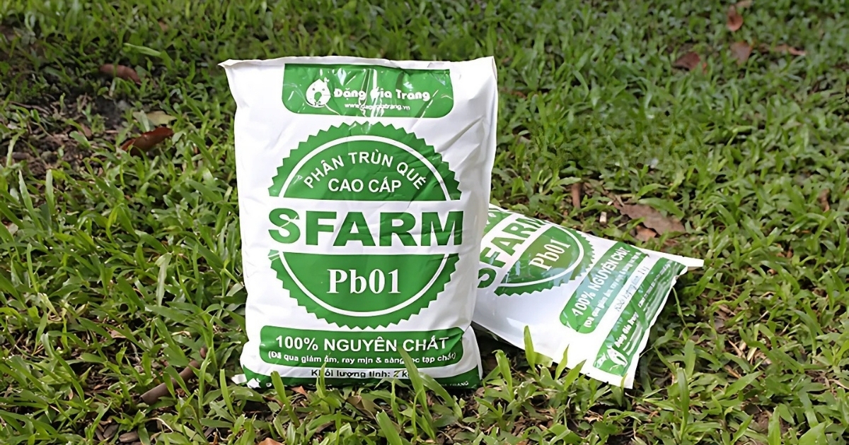Kết hợp phân gà với phân trùn quế giúp cải thiện độ tơi xốp