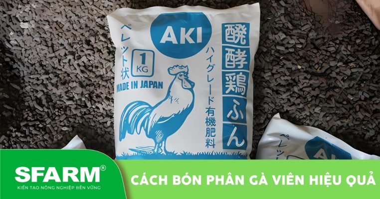 huong dan cach bon phan ga vien an toan va hieu qua hinh dai dien 1