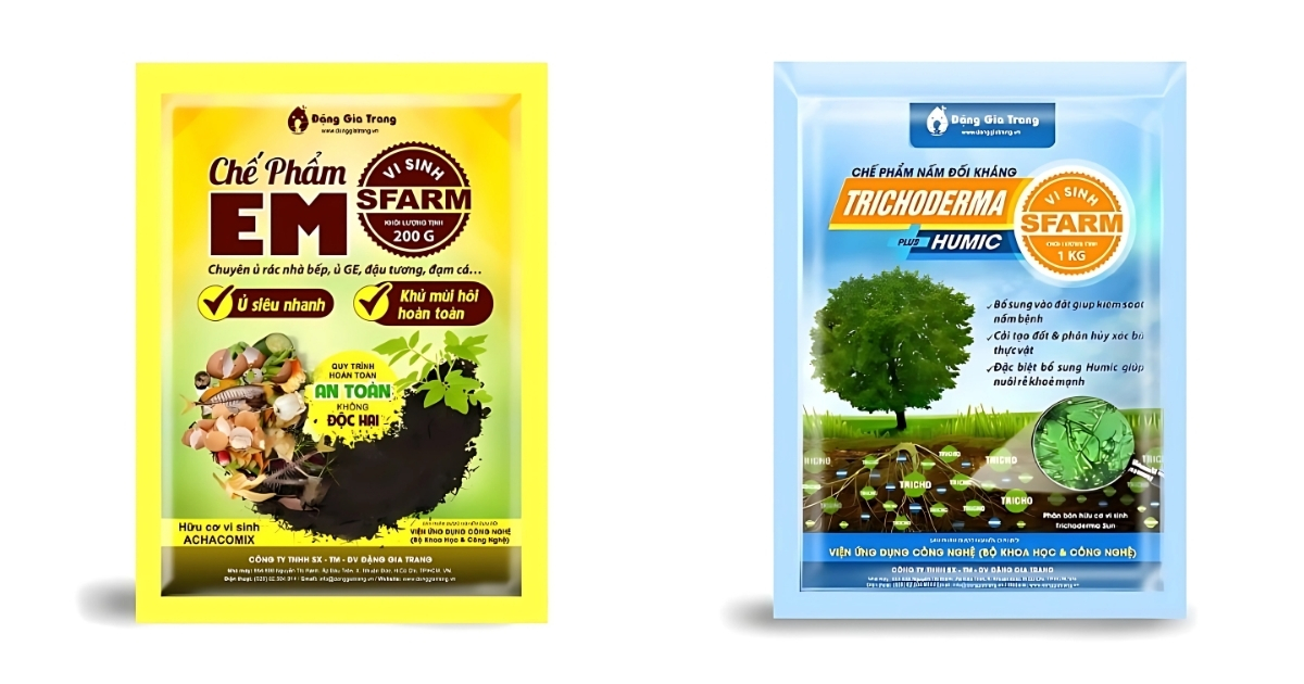 Ủ bã cà phê với EM và Trichoderma