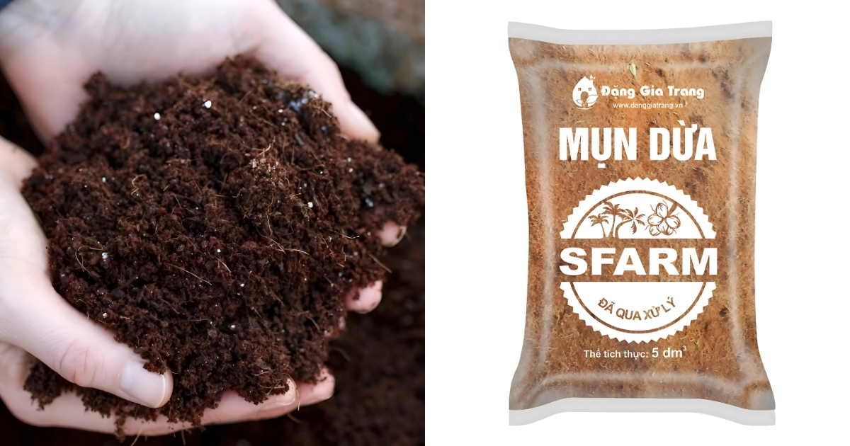 Trộn phân hữu cơ hoặc mụn dừa với bã cà phê
