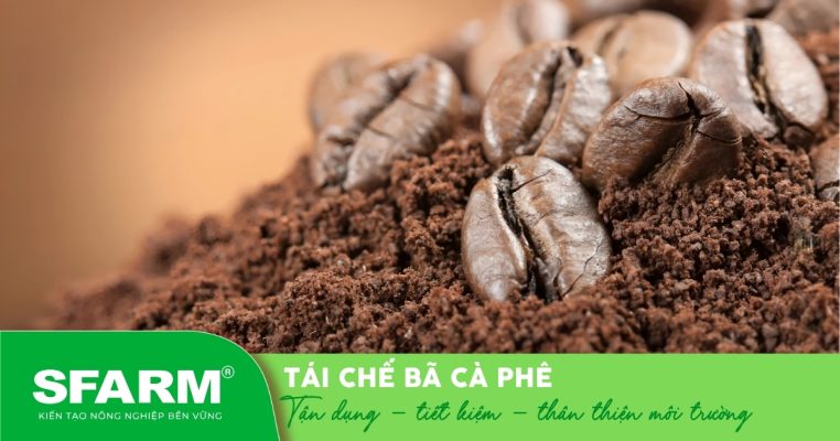 Tái sử dụng bã cà phê để bón cây – tiết kiệm và thân thiện với môi trường