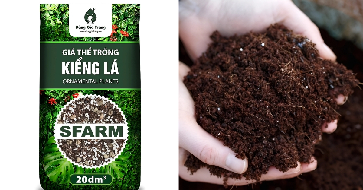 Sử dụng giá thể và phân hữu cơ để bón cho cây