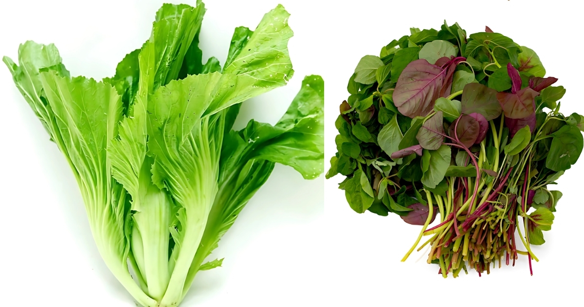 Vỏ trấu giúp rau dền, cải bẹ có được đất giàu dinh dưỡng