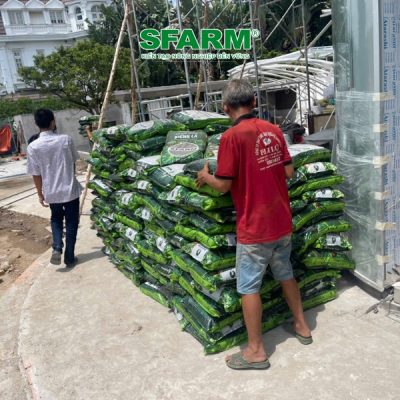 khach hang sfarm canh quan 1