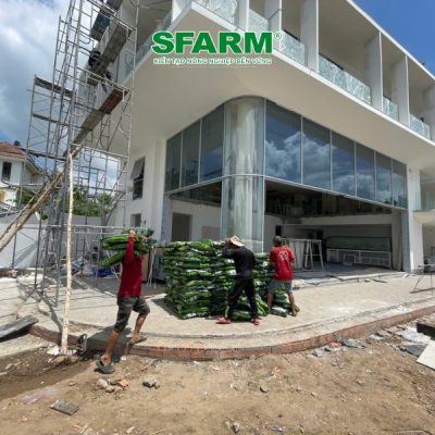 khach hang sfarm canh quan 5