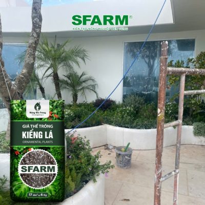 khach hang sfarm canh quan 6
