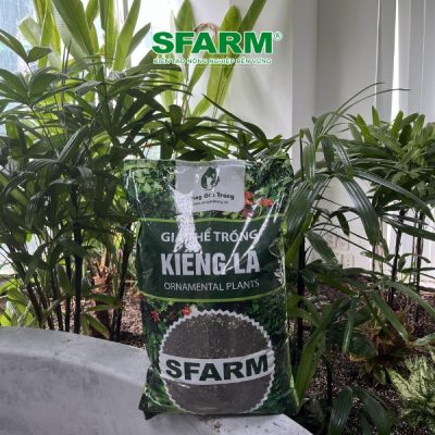 khach hang sfarm canh quan 7