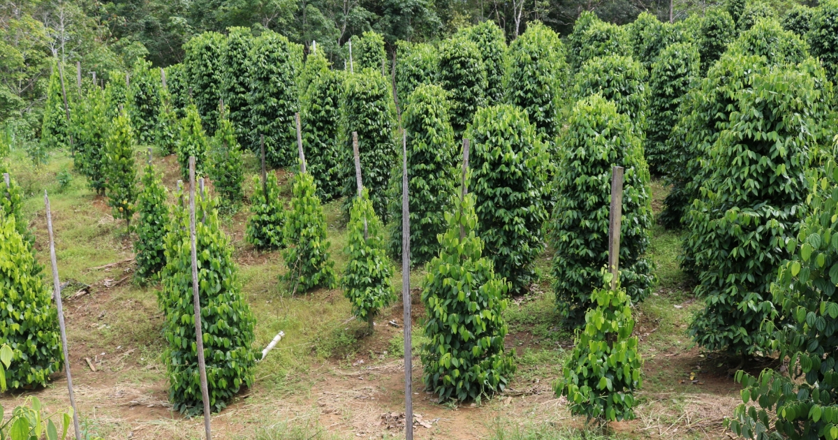 Ưu - nhược điểm các loại trụ tiêu so với trụ bê tông
