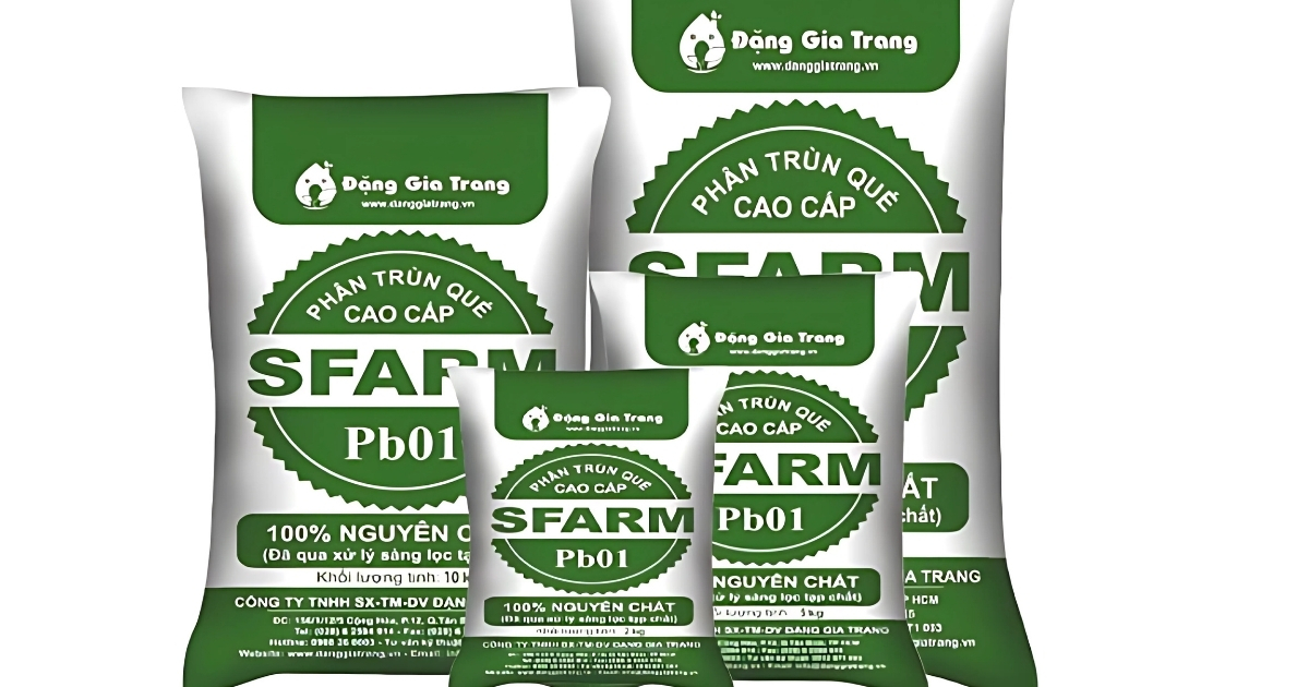 Sử dụng sản phẩm phân trùn quế để hỗ trợ cây sau khi ươm hạt