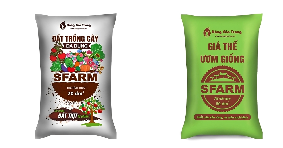 Sử dụng đất trồng hoặc giá thể cho cây khi chuyển qua môi trường đất