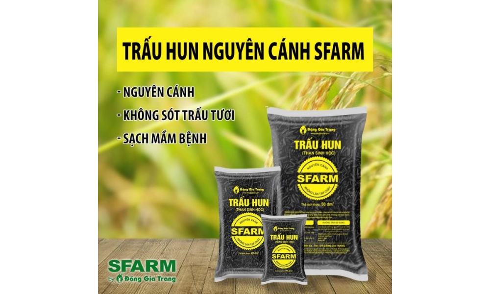 Lí do nên chọn trấu hun SFARM