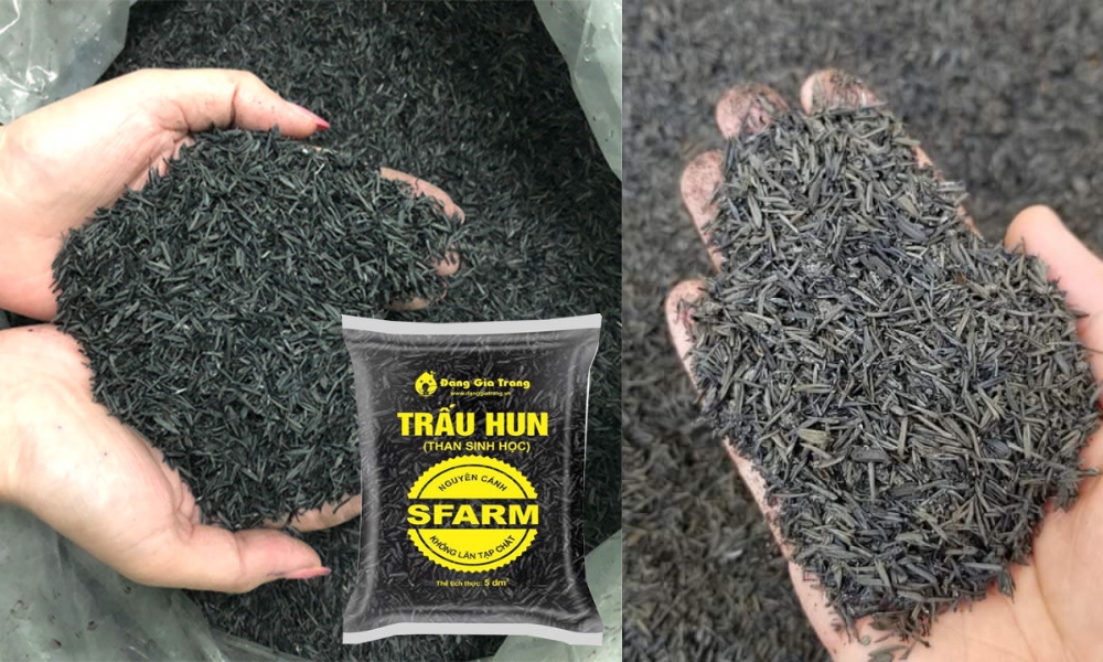 Nhà cung cấp vỏ trấu