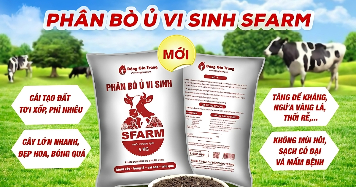 Cách sử dụng phân bò khô