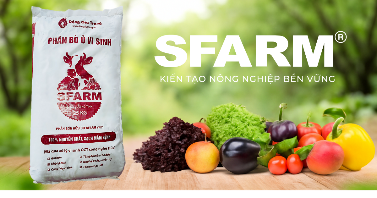 bón nhiều phân bò cho cây có sao không