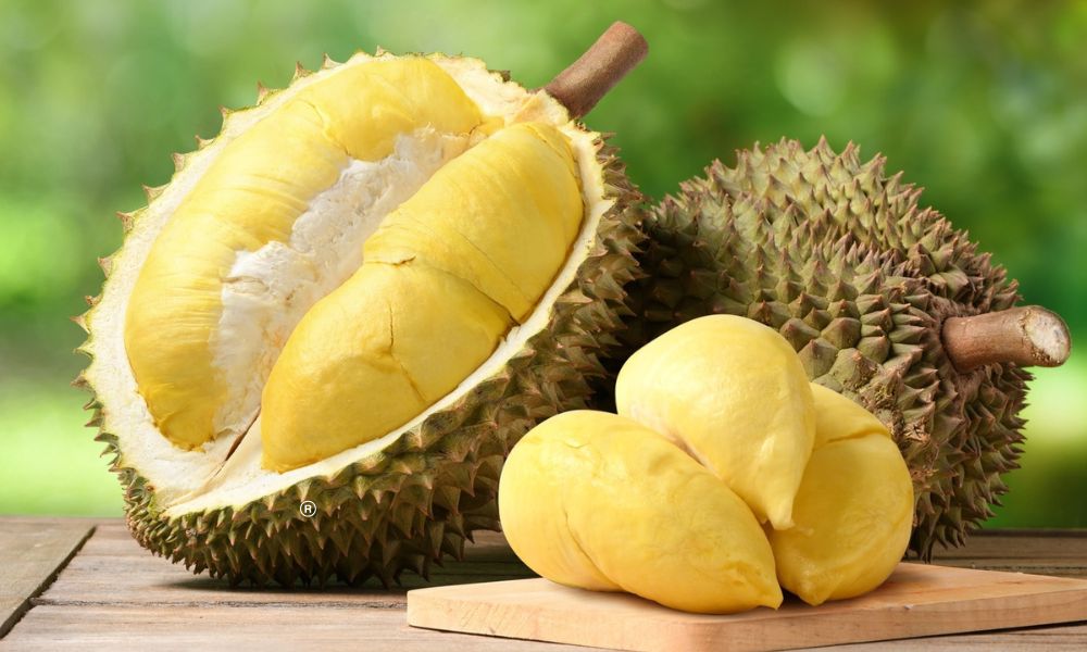 Sầu riêng chín vàng