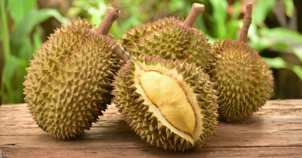 so sanh sau rieng thai va ri6 loai nao ngon hon 1