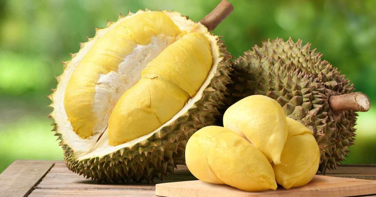 Giá thành của sầu riêng Thái và Ri6 trên thị trường Giá thành của sầu riêng Thái và Ri6 trên thị trường