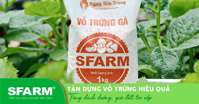 tan dung vo trung bon cay lam phan bon tai nha hinh dai dien