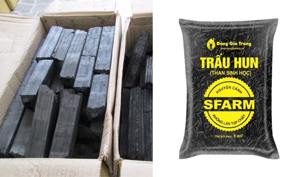 than sinh học từ mùn cưa với trấu hun
