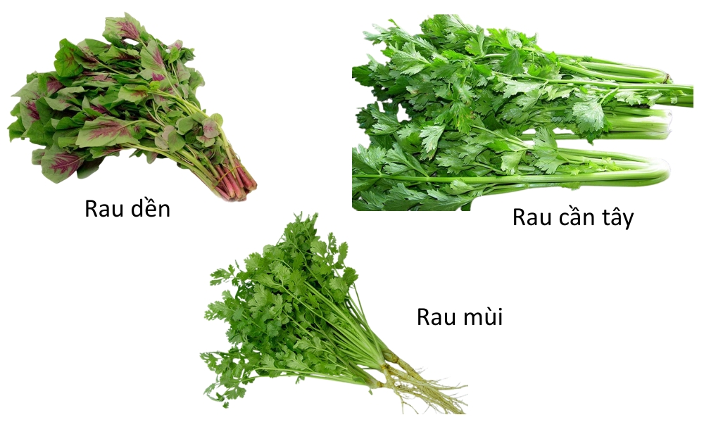 Các loại rau lá