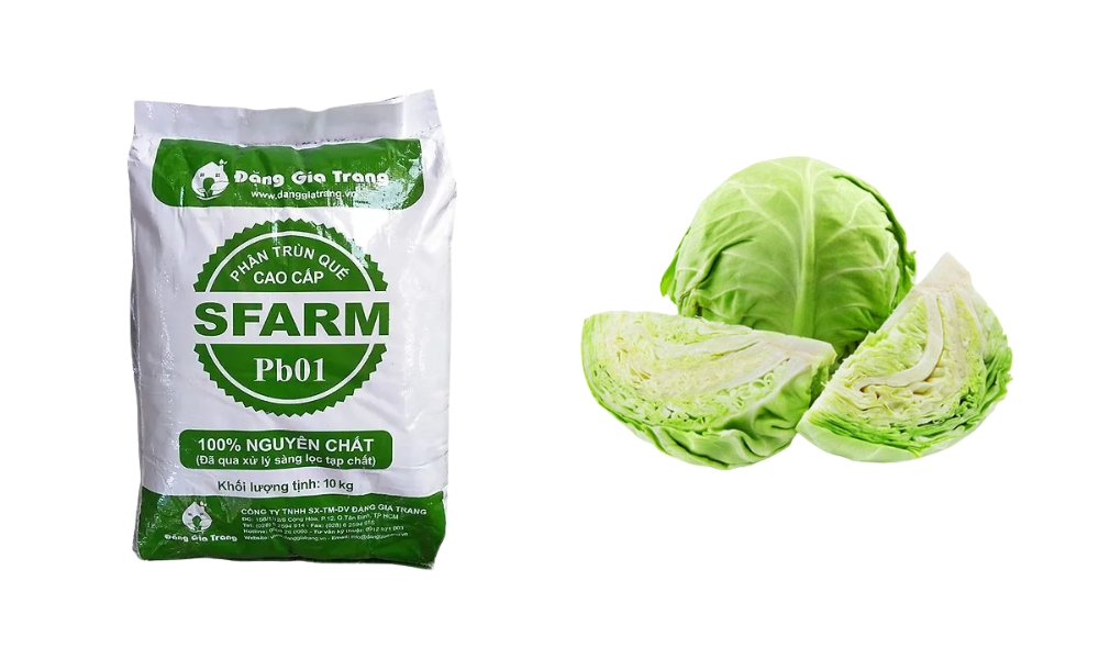 Duy trì độ ẩm cho đất bằng phân trùn quế cao cấp Pb01