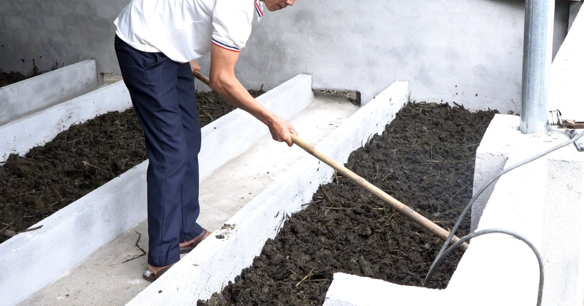 Kỹ thuật nuôi trùn quế bằng phân dê