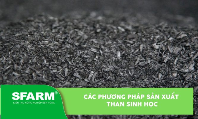Các phương pháp sản xuất than sinh học