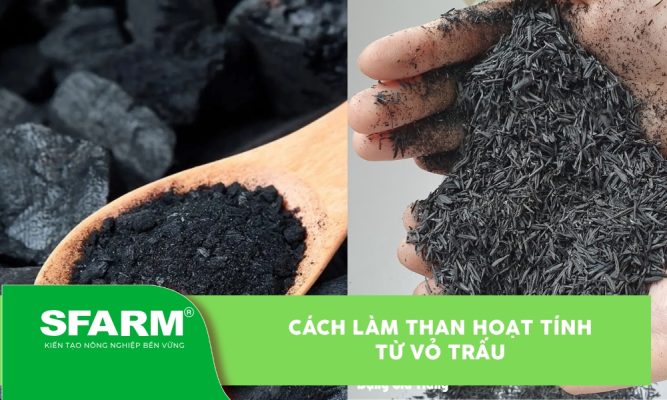 Cách làm than hoạt tính từ vỏ trấu