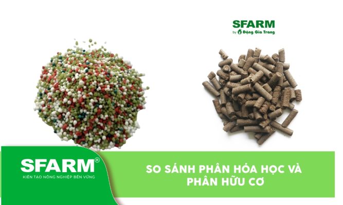 So sánh phân hóa học và phân hữu cơ