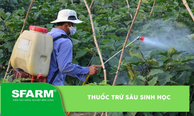 Thuốc trừ sâu sinh học