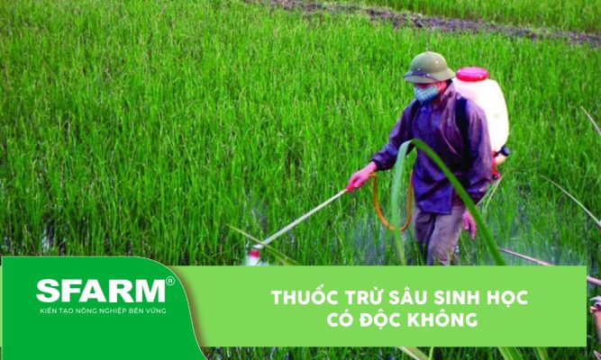 thuốc trừ sâu sinh học có độc không