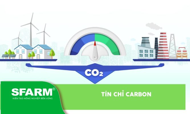 Tín chỉ Carbon là gì