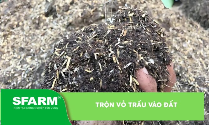 Trộn vỏ trấu vào đất