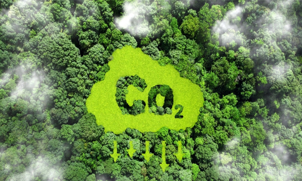 Tín chỉ Carbon là gì Tín chỉ Carbon là gì?