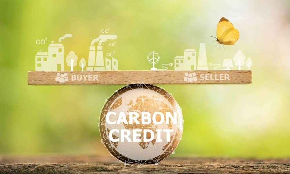 Tín chỉ carbon