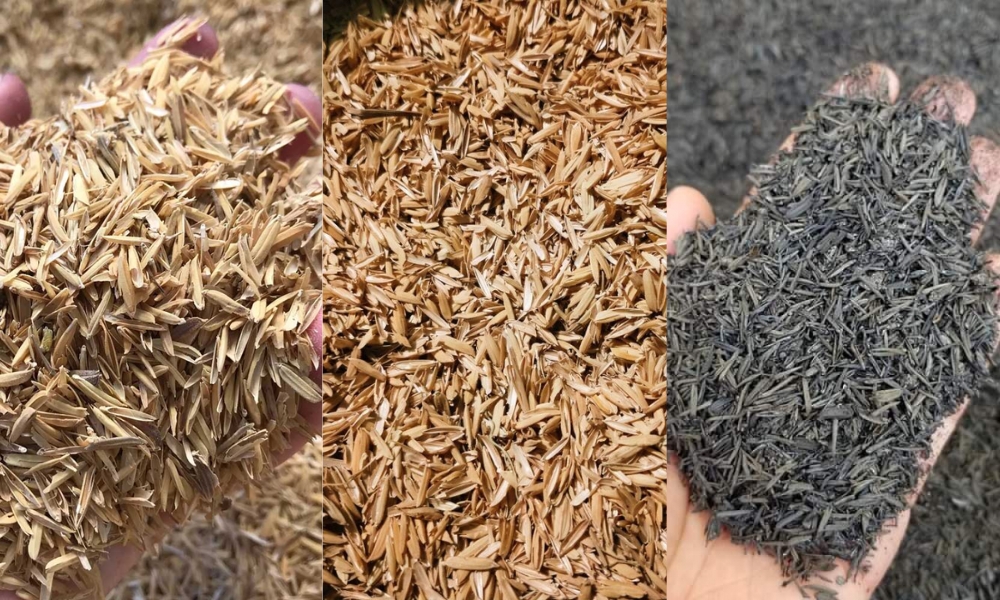 Trấu tươi, trấu khô, trấu hun