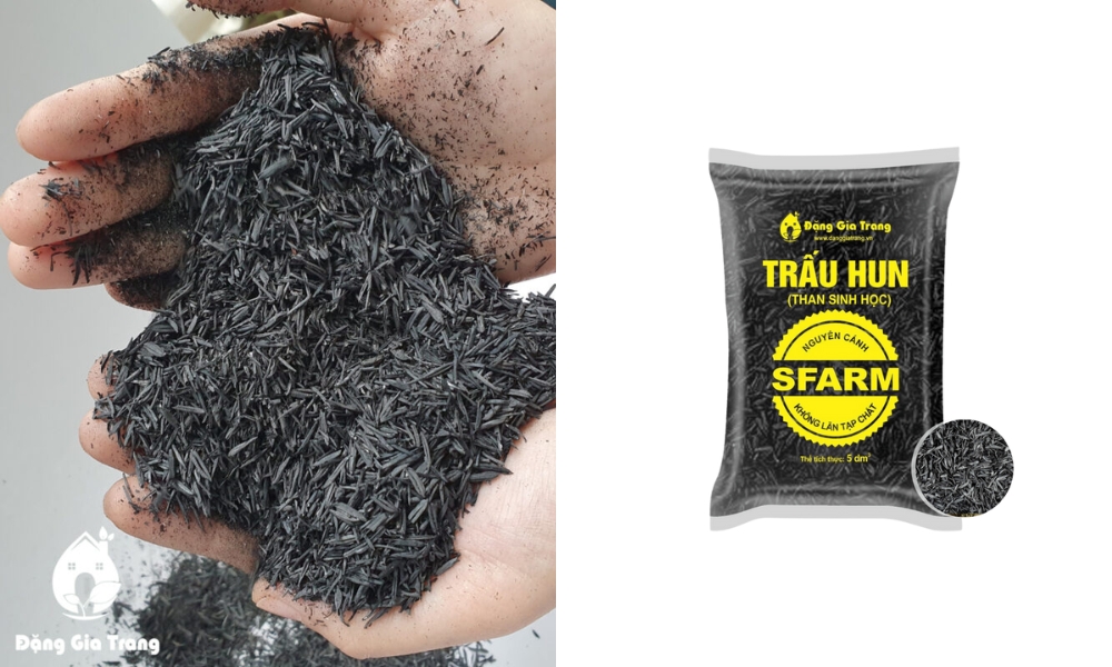Trấu hun từ SFARM