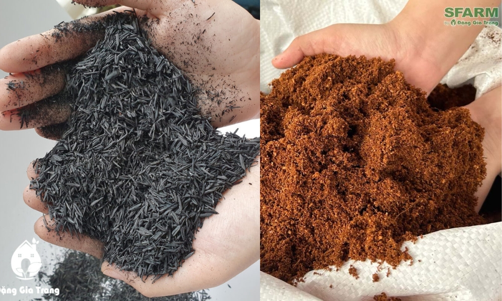 Kết hợp trấu hun với mụn dừa khi trộn vào đất