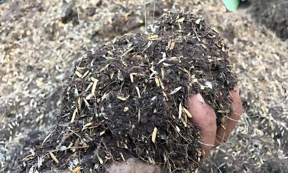 Trộn vỏ trấu vào đất