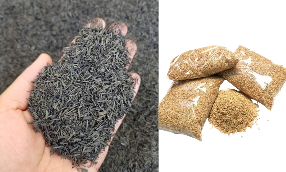 So sánh trấu hun và trấu sống trong trồng lan