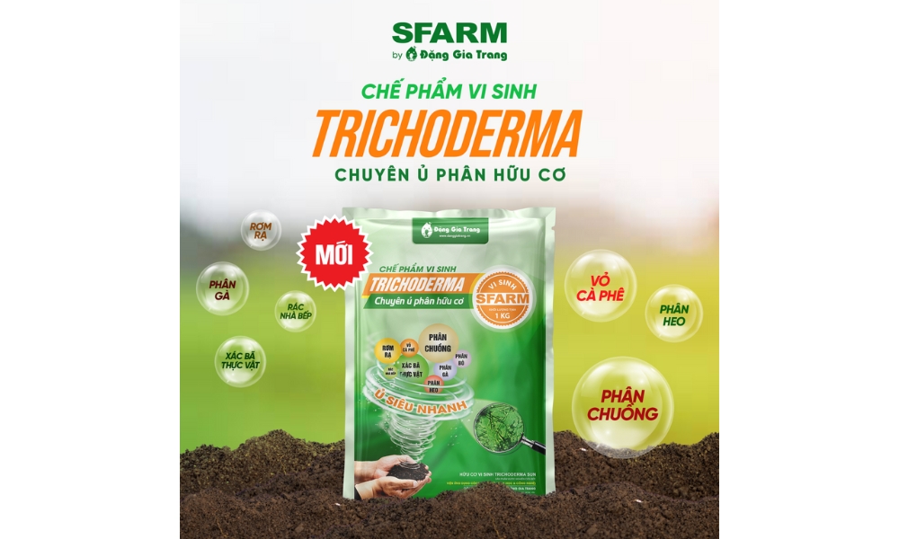 chế phẩm vi sinh Trichoderma ủ cùng trấu sống