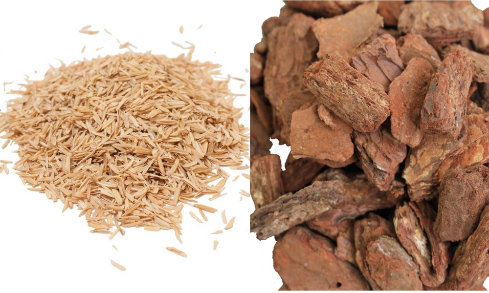 So sánh vỏ trấu và vỏ thông trong trồng lan